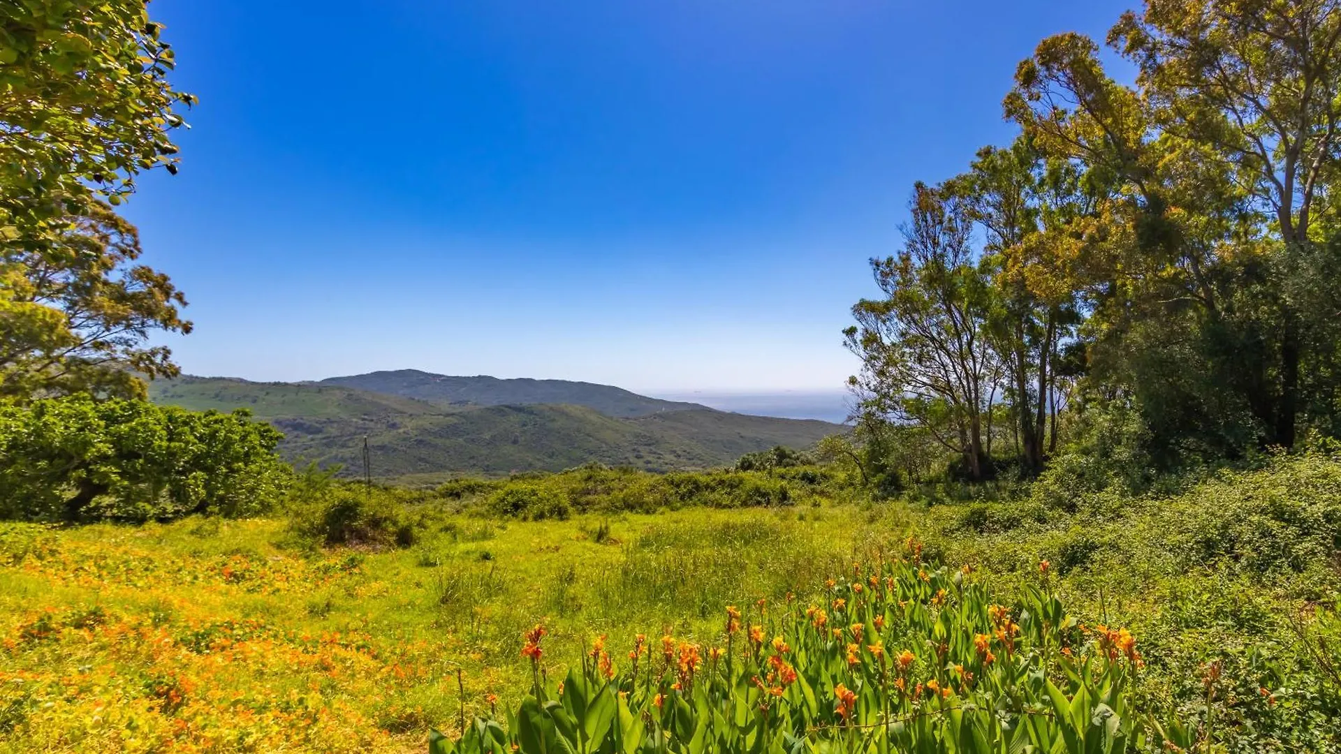 Cortijo Cantarranas Villa Tarifa España